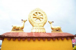 Jokang-Monastry-Roda-dharma